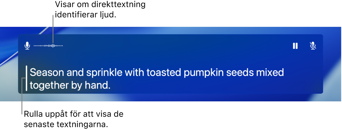 En realtidstranskribering av datorns mikrofonljud visas som rullningsbar text i fönstret Direkttextning.