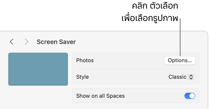 ด้านบนสุดของหน้าต่างการตั้งค่าระบบที่แสดงตัวเลือกสำหรับรูปภาพ