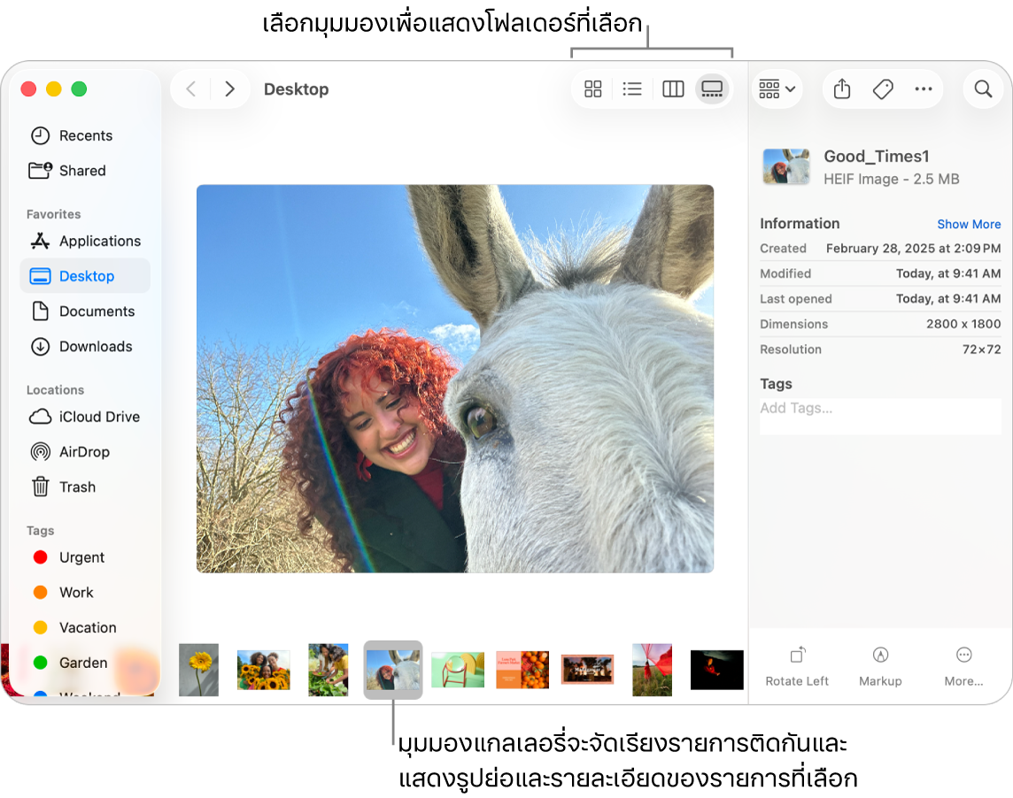 หน้าต่าง Finder ที่แสดงแถบด้านข้าง Finder ทางด้านซ้ายและไฟล์ภาพที่ถูกเลือกอยู่ด้านล่างสุดของหน้าต่าง ที่ตรงกลาง บานหน้าต่างแสดงตัวอย่างจะแสดงลักษณะของภาพ โดยมีรายละเอียดภาพและปุ่มการทำงานด่วนทางด้านขวา