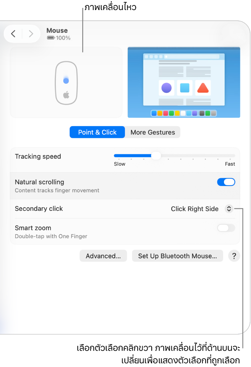 ตัวเลือกเมาส์ในการตั้งค่าระบบที่แสดงตัวเลือกคลิกรองที่ตั้งค่าไว้ที่คลิกที่ด้านขวาและภาพเคลื่อนไหวที่เกี่ยวข้องกัน