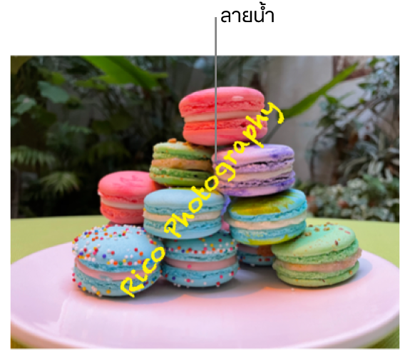 รูปภาพที่แสดงลายน้ำข้อความว่า “การถ่ายภาพของเรืองสิทธิ์” ซึ่งแสดงในแนวทแยงบนรูปภาพ