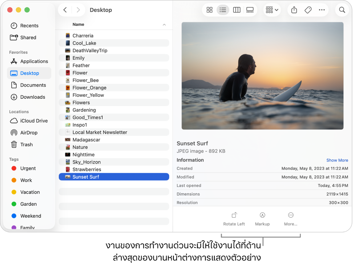 ด้านล่างสุดของบานหน้าต่างการแสดงตัวอย่างที่แสดงปุ่มการทำงานด่วน