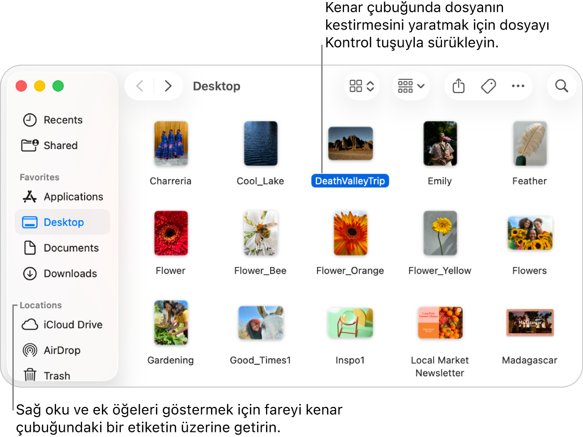 Finder kenar çubuğundaki Konumlar’ın sağ tarafında ek öğeleri göstermek için tıklayabileceğiniz bir ok var. Sağdaki Finder penceresinde bir dosya seçili ve kenar çubuğundaki Favoriler’in alt tarafında dosyanın bir kestirmesi var.