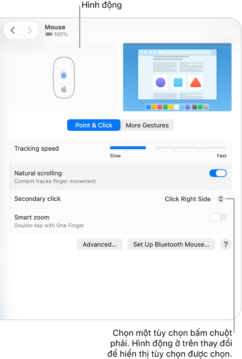 Tùy chọn Chuột trong Cài đặt hệ thống đang hiển thị tùy chọn bấm chuột phụ được đặt thành Bấm bên phải và hình động tương ứng.