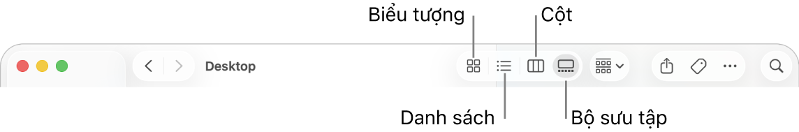 Đầu cửa sổ Finder đang hiển thị các nút tùy chọn Xem cho thư mục.
