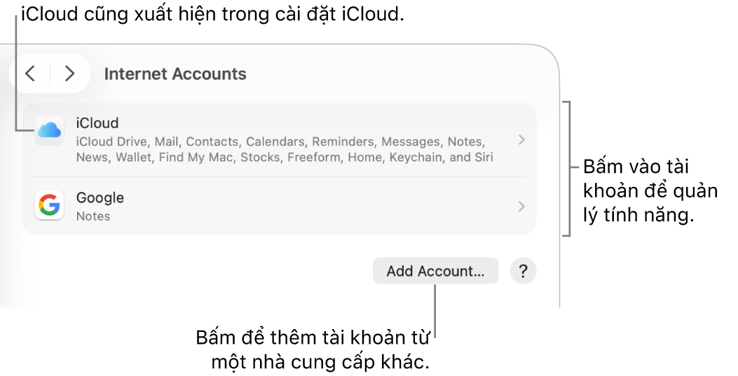 Cài đặt Tài khoản internet với các tài khoản được thiết lập trên máy Mac được liệt kê.
