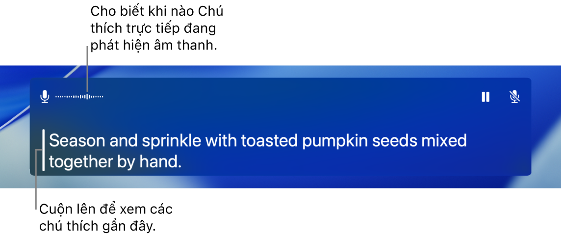 Bản chép lại trong thời gian thực của âm thanh micrô của máy tính được hiển thị dưới dạng văn bản có thể cuộn trong cửa sổ Chú thích trực tiếp.