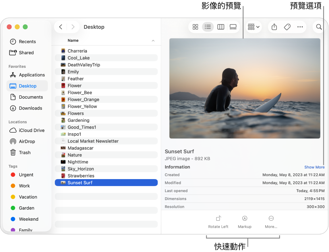 Finder 視窗,左側顯示 Finder 側邊欄,視窗的中間顯示一個已選取的影像檔案。 右側為「預覽」面板,面板顯示影像外觀,其下方顯示影像詳細資料,底部則為「快速動作」按鈕。