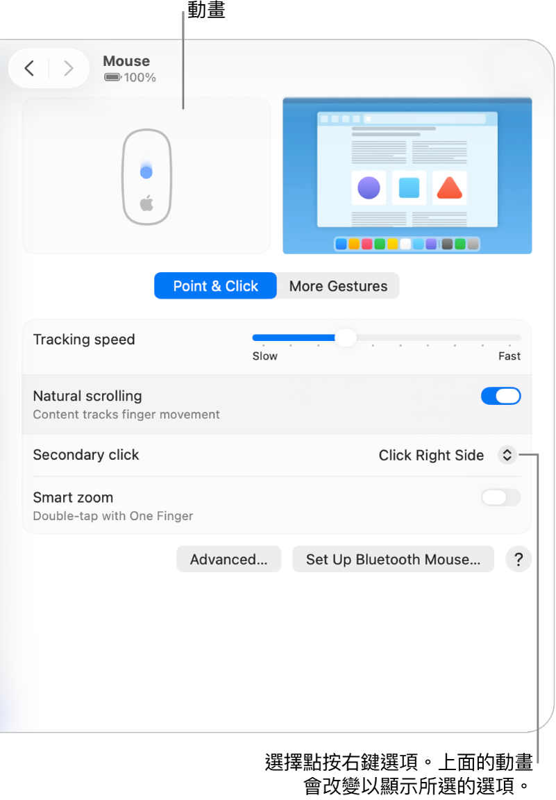 「系統設定」中的「滑鼠」選項顯示輔助按鈕選項已設定為「按一下右側」以及對應的動畫。