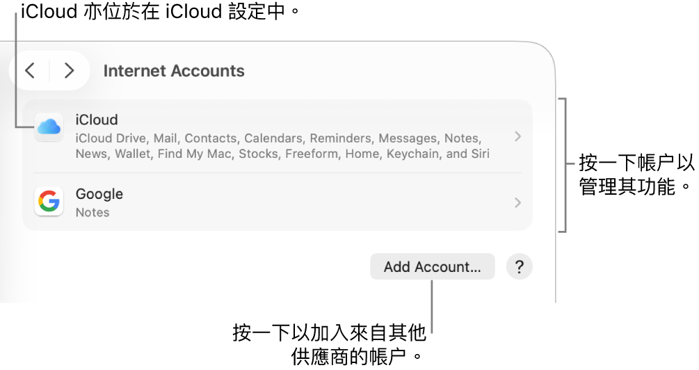 「互聯網帳户」設定，其中列出已在 Mac 上設定的帳户。