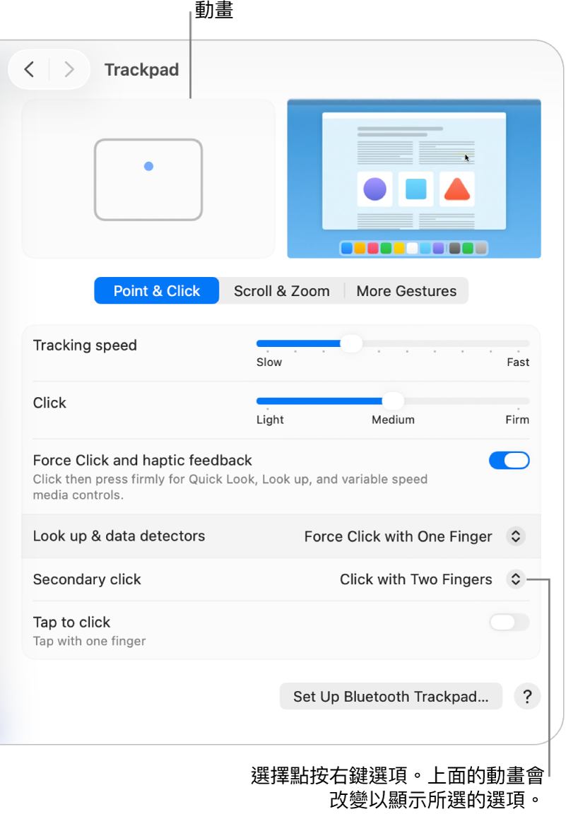 「系統設定」中的「觸控板」選項顯示輔助按鈕選項已設定為「用兩指按一下」以及對應的動畫。