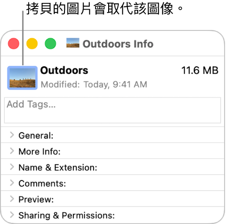 檔案夾的「資訊」視窗,顯示一般圖像被圖片取代。