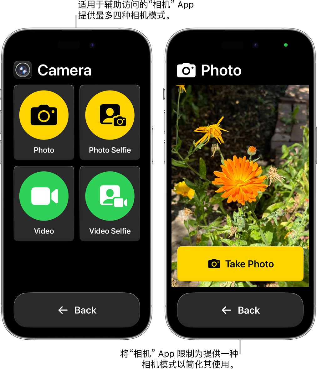 处于辅助访问模式的两个 iPhone 屏幕。其中一台 iPhone 上的“相机” App 显示可供用户选取的相机模式，如“视频自拍”或“自拍照片”。另一台 iPhone 上的“相机” App 显示用于拍摄照片的单个模式。