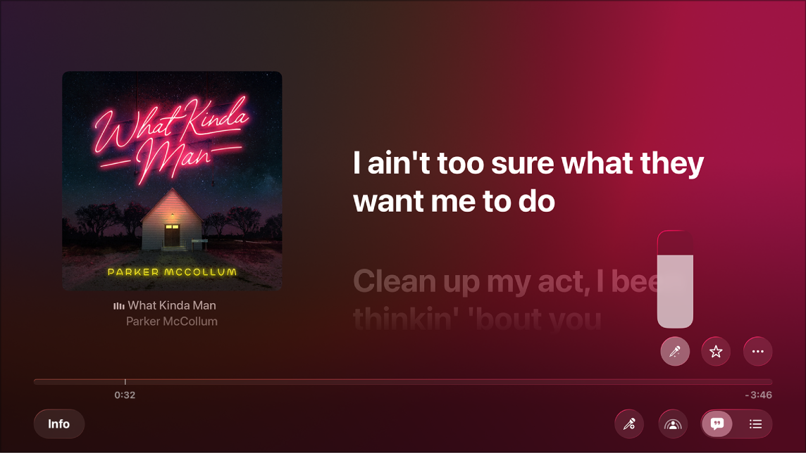 Bildschirm „Jetzt läuft“ mit Apple Music Sing