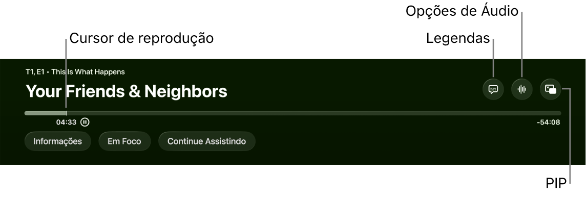 Controles de reprodução