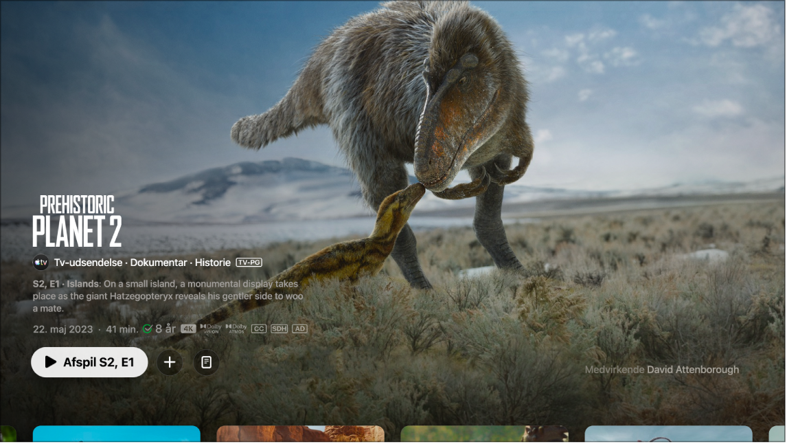 Skærm med oplysninger om tv-udsendelse
