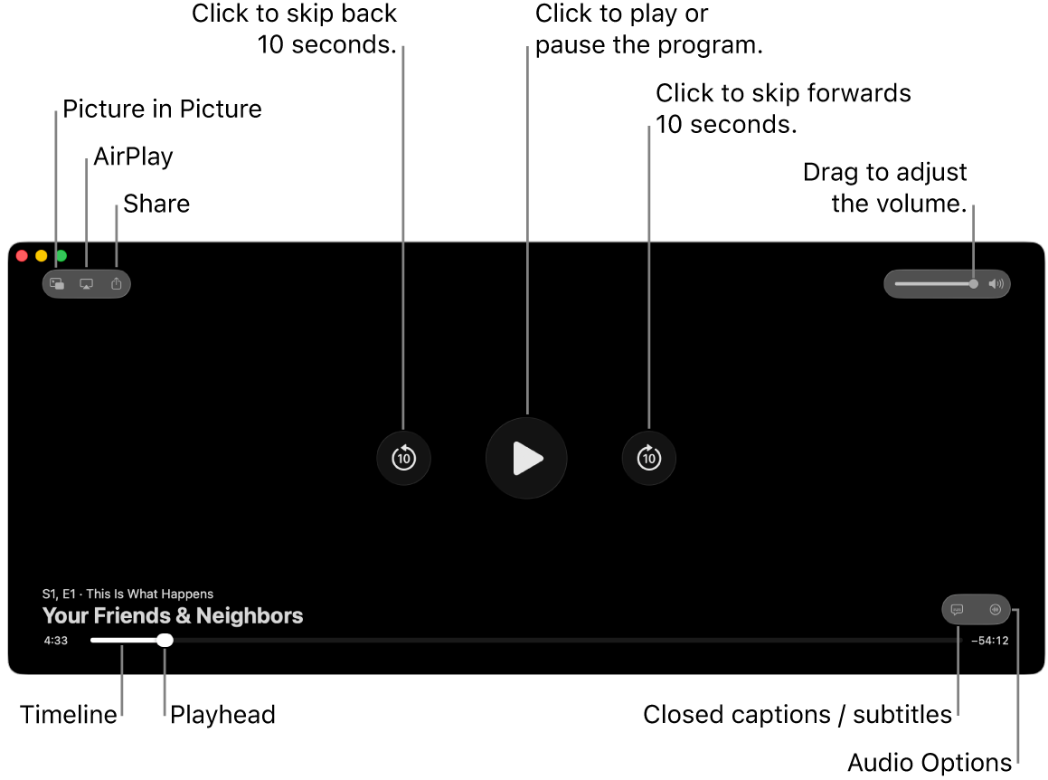 Playback controls in the viewer, including buttons to play or pause, skip forwards or backwards, and adjust volume.