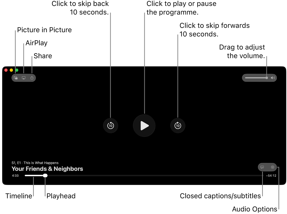 Playback controls in the viewer, including buttons to play or pause, skip forwards or backwards, and adjust volume.