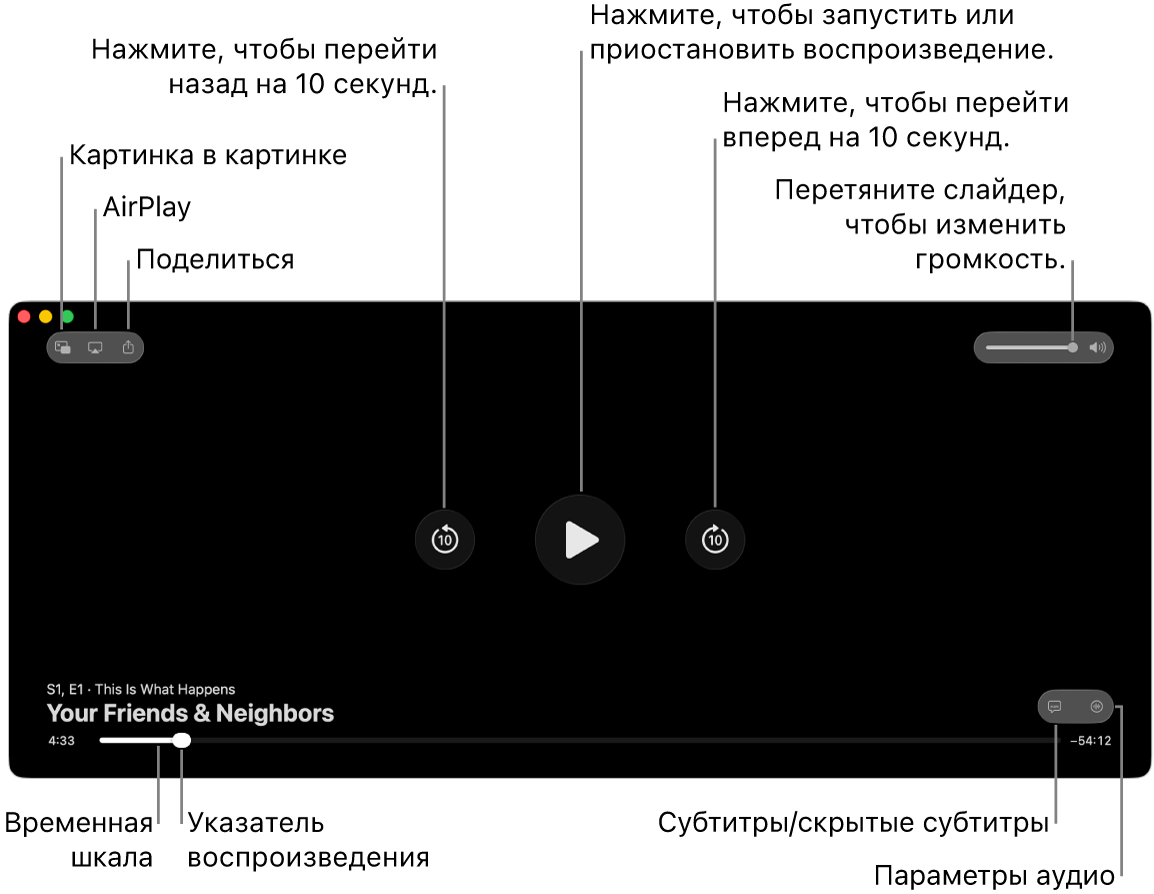 Элементы управления воспроизведением в окне просмотра, в том числе кнопки воспроизведения, паузы, перемотки вперед и назад, а также настройки громкости.