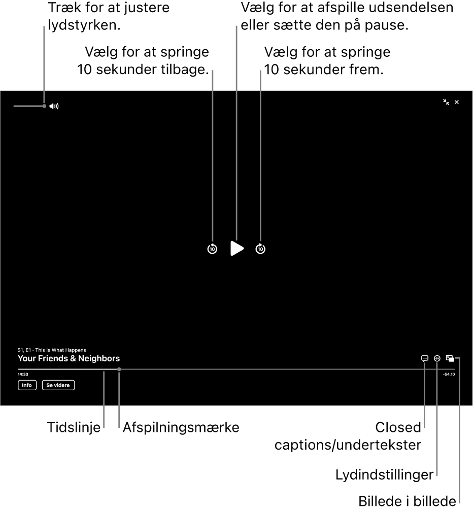 Betjeningspanelet til afspilning i afspilleren, herunder knapper til afspilning, pause, spring frem eller tilbage og justering af lydstyrken.