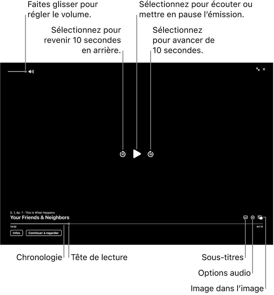 Commandes de lecture dans le visualiseur, y compris des boutons pour lire ou mettre en pause, avancer ou reculer, et ajuster le volume.