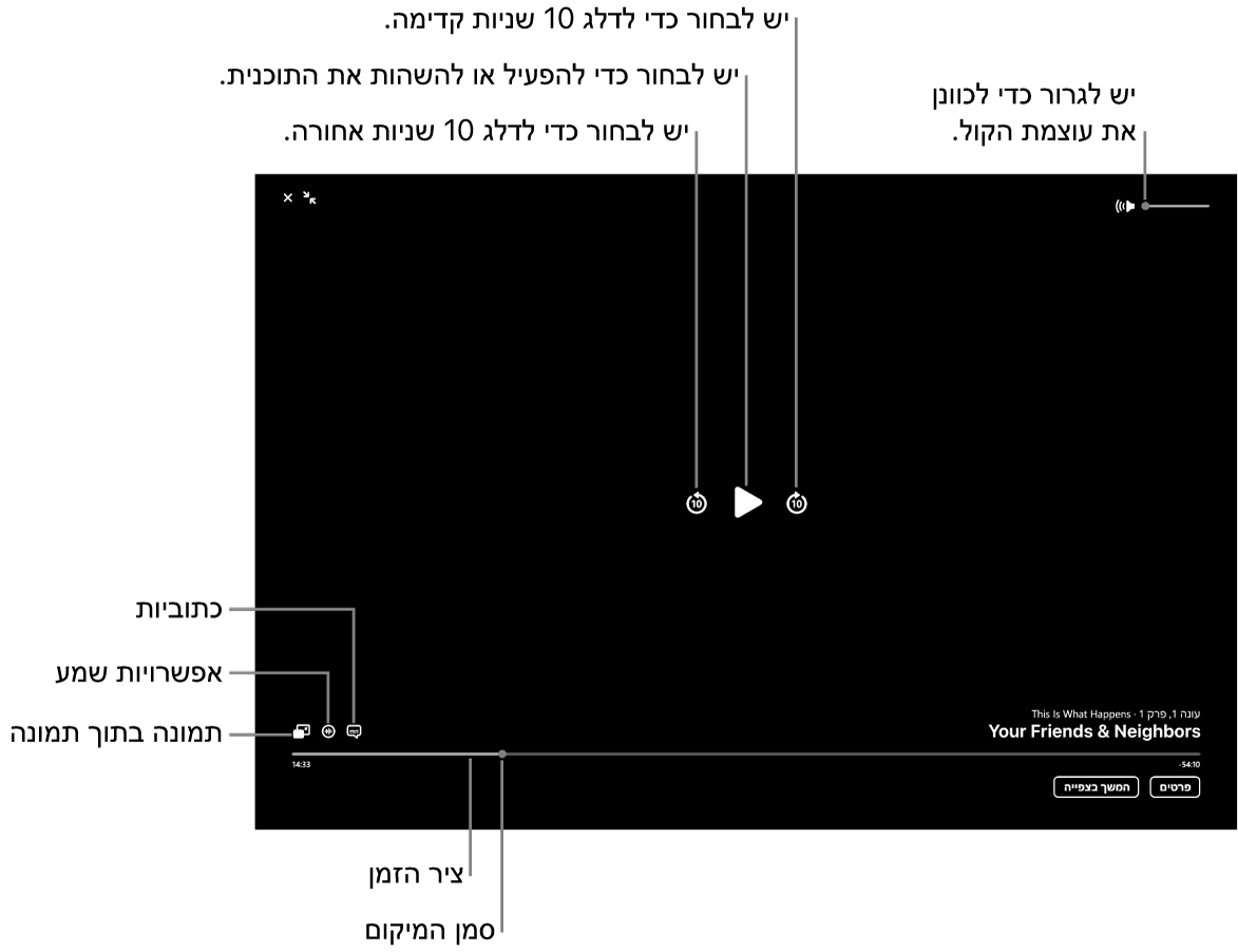 פקדי הפעלה במציג, כולל כפתורים להפעלה ולהשהיה, לדילוג קדימה ואחורה ולשינוי עוצמת הקול.