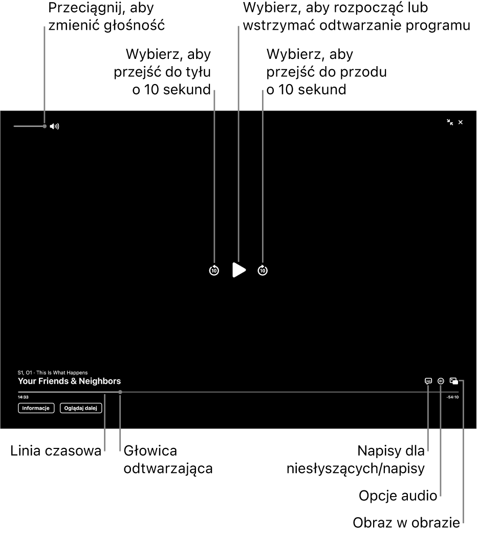 Narzędzia odtwarzania w oknie wyświetlania. Widoczne są przyciski umożliwiające włączanie lub wstrzymywanie odtwarzania, przewijanie do przodu i do tyłu oraz regulowanie głośności.