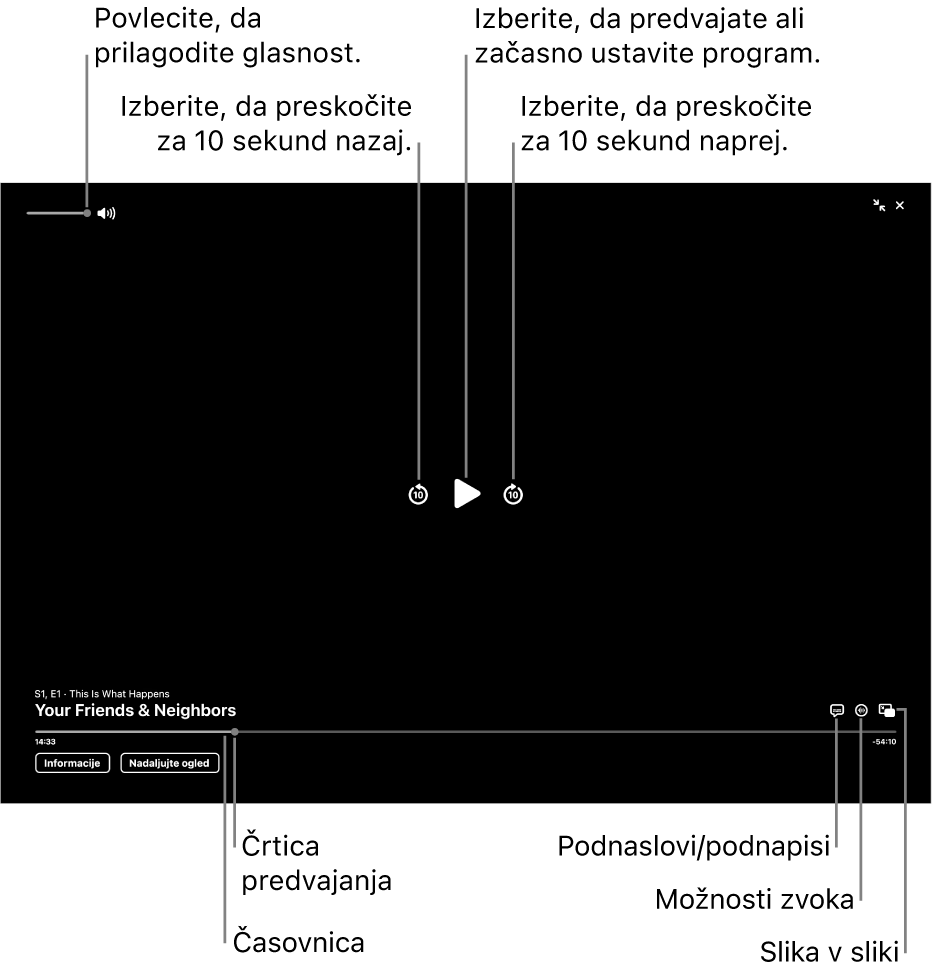 Krmilne funkcije v pregledovalniku, vključno z gumbi za predvajanje ali začasno ustavitev, skok naprej ali nazaj ter prilagoditev glasnosti.