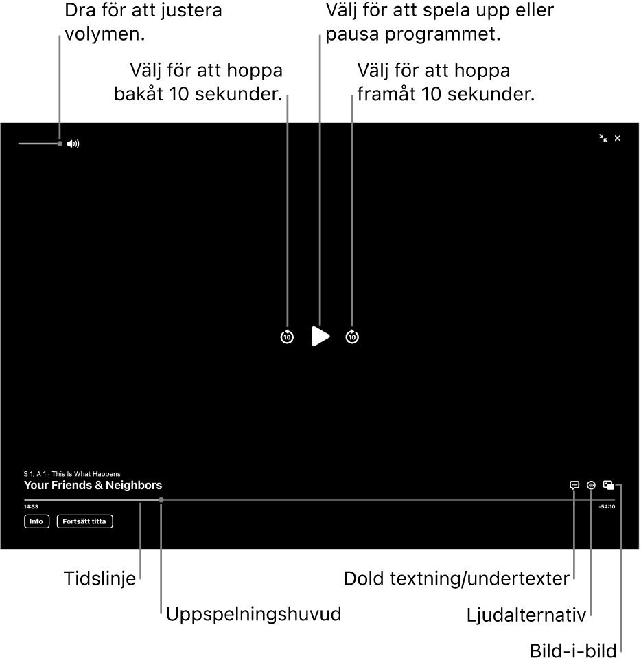 Uppspelningsreglagen i visningsfönstret innehåller knappar för att spela upp eller pausa, hoppa framåt eller bakåt och justera volymen.