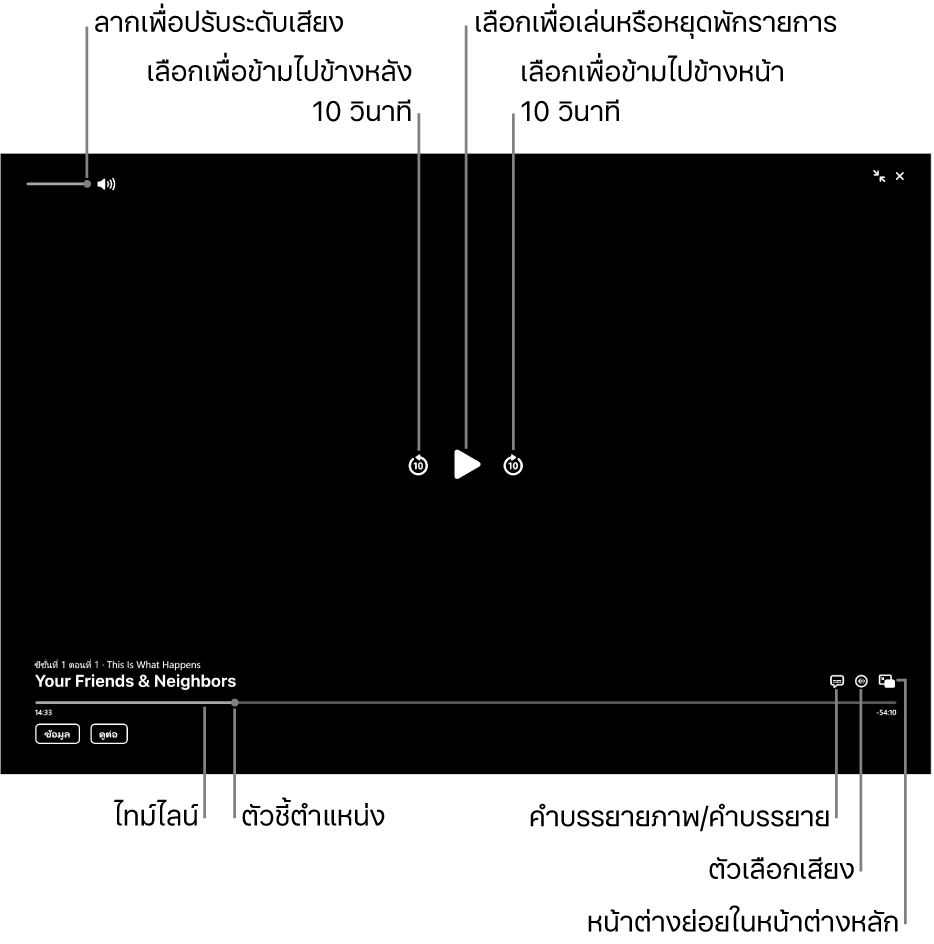 ตัวควบคุมการเล่นในหน้าต่างแสดงซึ่งรวมถึงปุ่มต่างๆ สำหรับเล่นหรือหยุดพัก ข้ามไปข้างหน้าหรือข้ามไปข้างหลัง และปรับระดับเสียง