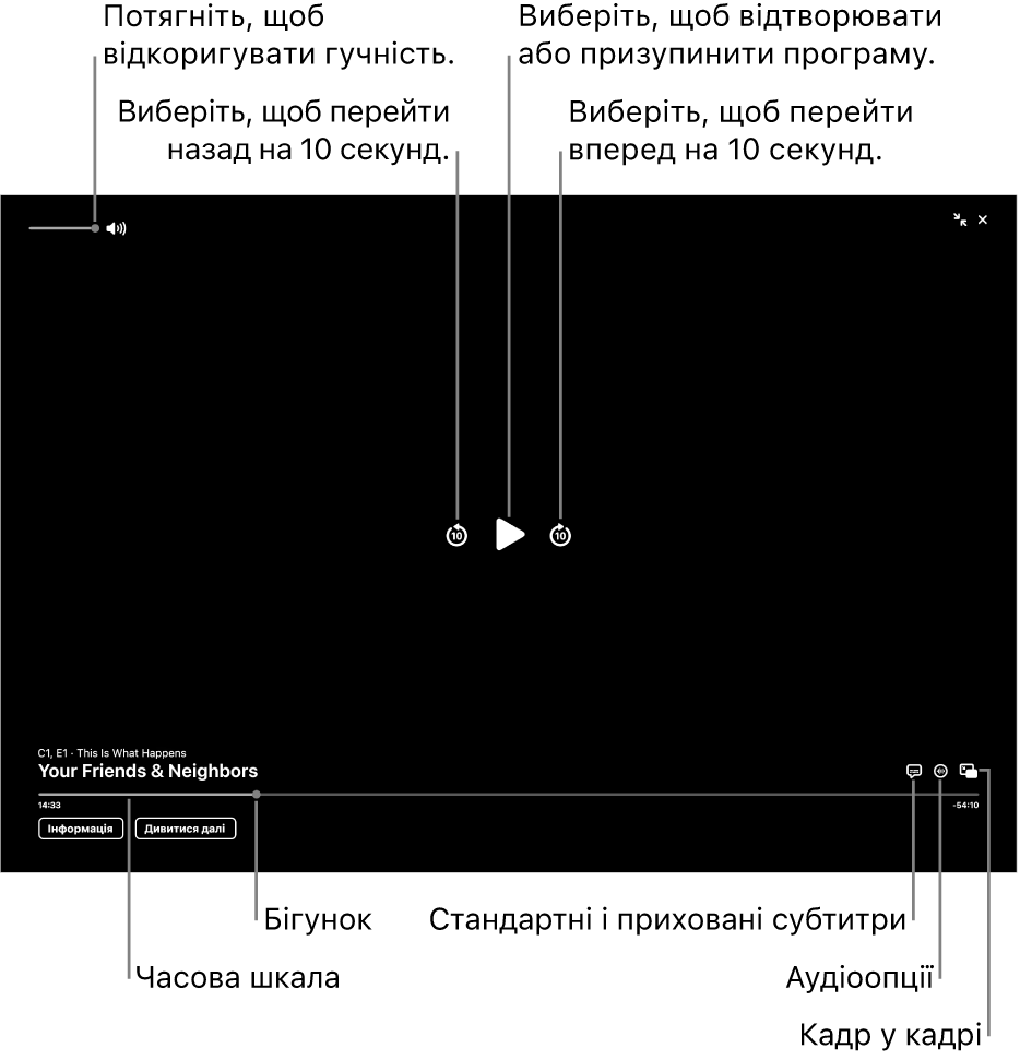 Елементи керування відтворенням в переглядачі, включно з кнопками відтворення і призупинення, пропуску вперед і назад та регулювання гучності.