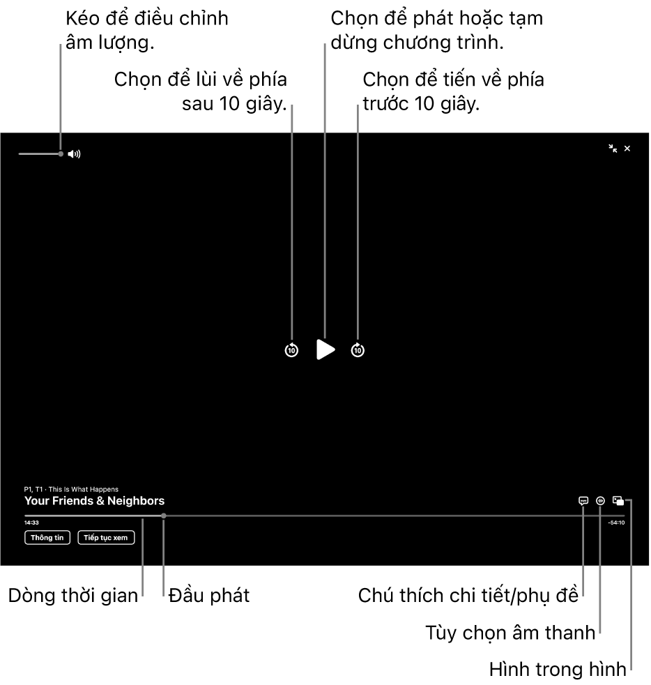 Các điều khiển phát lại trong trình xem, bao gồm các nút để phát hoặc tạm dừng, tiến về trước hoặc lùi về sau và điều chỉnh âm lượng.