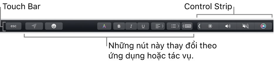 Touch Bar dọc theo cạnh trên cùng của bàn phím, đang hiển thị Control Strip được thu gọn ở bên phải và các nút thay đổi theo ứng dụng hoặc tác vụ.