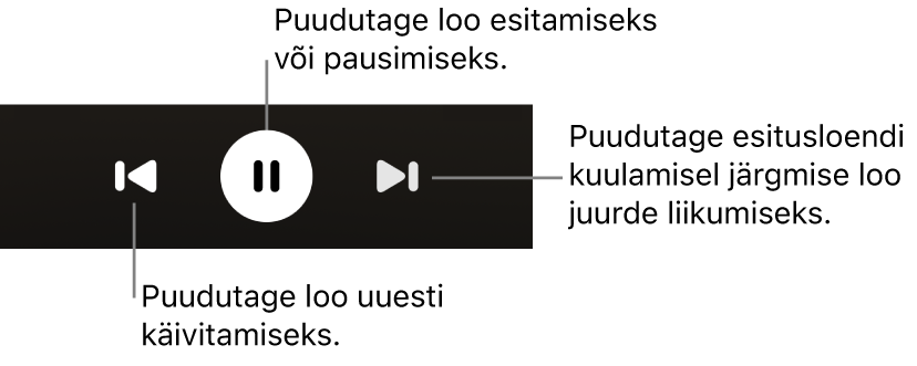 Kuva Now Playing (Hetkel mängimas) esitamise juhikud, sh nupp Back (Tagasi), nupp Play/Pause (Esitus/paus) ja Next (Järgmine).