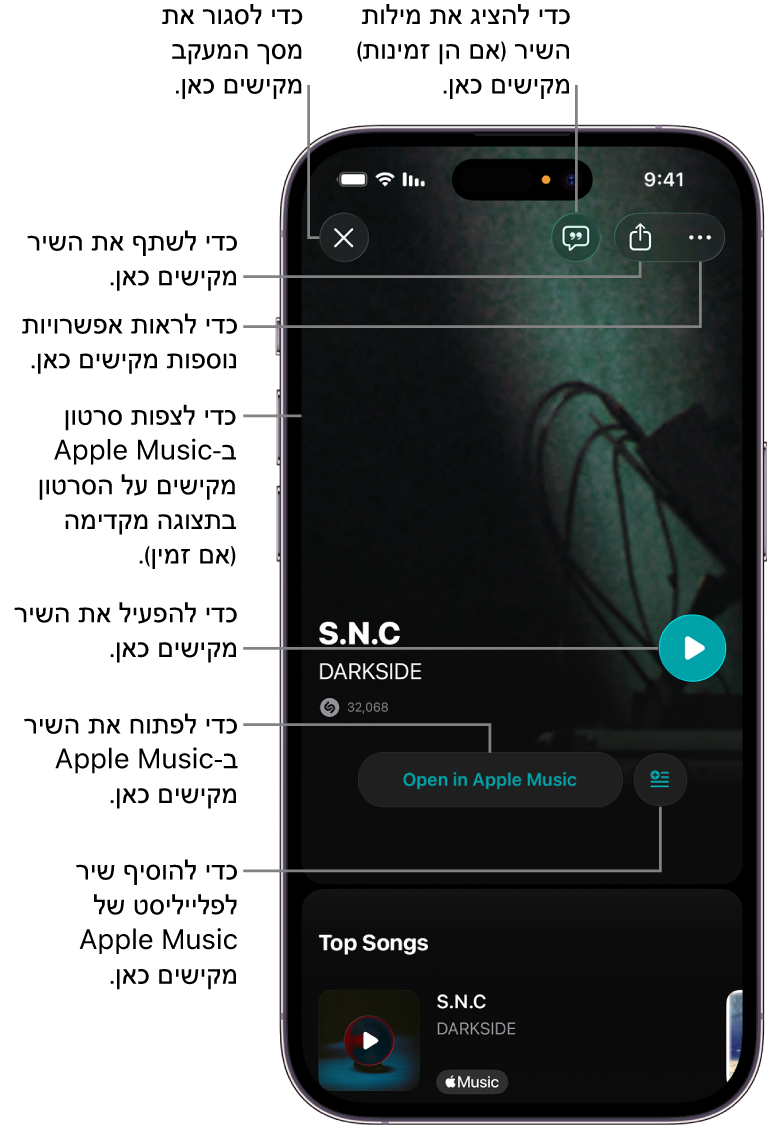 פקדי מסך הפרטים של שיר ב-iPhone