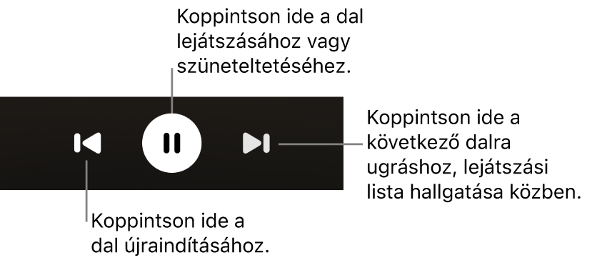 A Now Playing képernyő lejátszásvezérlői, többek között a Vissza gomb, a Lejátszás/Szünet gomb és a Következő gomb
