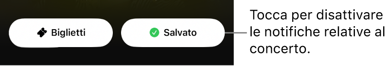 Un segno di spunta sulla guida al concerto dell’app Shazam a indicare .che l’opzione Salva è attiva.