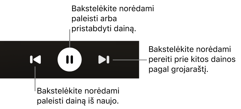 Ekrane „Now Playing“ rodomi atkūrimo valdikliai, įskaitant mygtuką „Back“, mygtuką „Play / Pause“ ir mygtuką „Next“