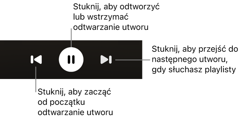 Narzędzia odtwarzania na ekranie Odtwarzane, w tym przycisk Wstecz, przycisk Odtwórz/Wstrzymaj i przycisk Dalej