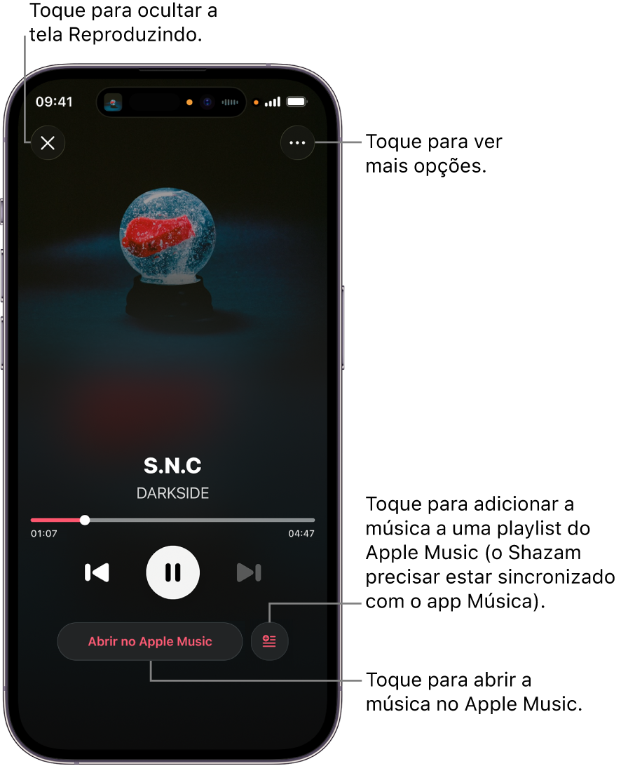 Controles da tela Reproduzindo