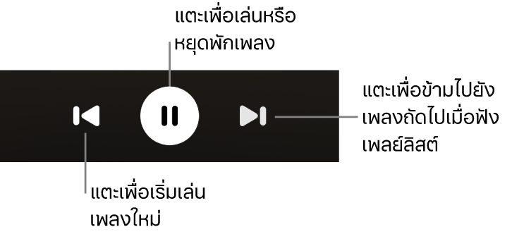 ตัวควบคุมการเล่นบนหน้าจอกำลังเล่นอยู่ ซึ่งรวมถึงปุ่มย้อนกลับ ปุ่มเล่น/หยุดพัก และปุ่มถัดไป