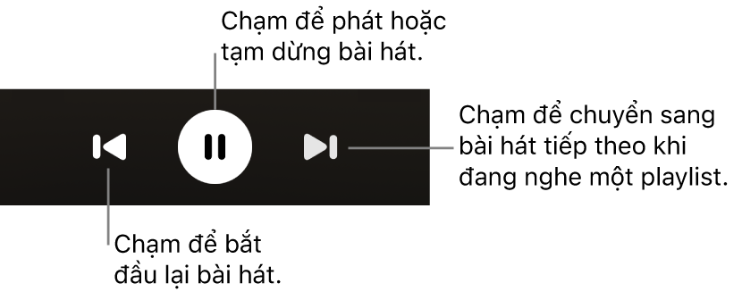 Các điều khiển phát màn hình Đang phát, bao gồm nút Quay lại, nút Phát/Tạm dừng và nút Tiếp theo