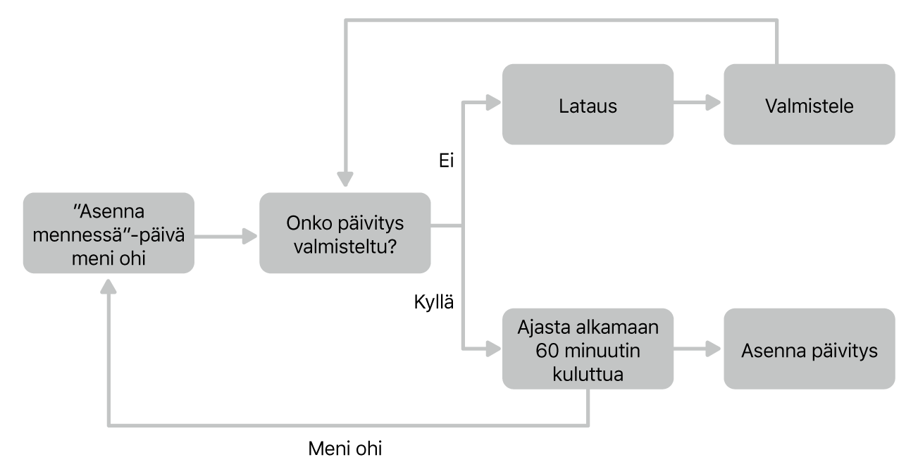 Ohjelmiston päivityksen kulun kaavio.