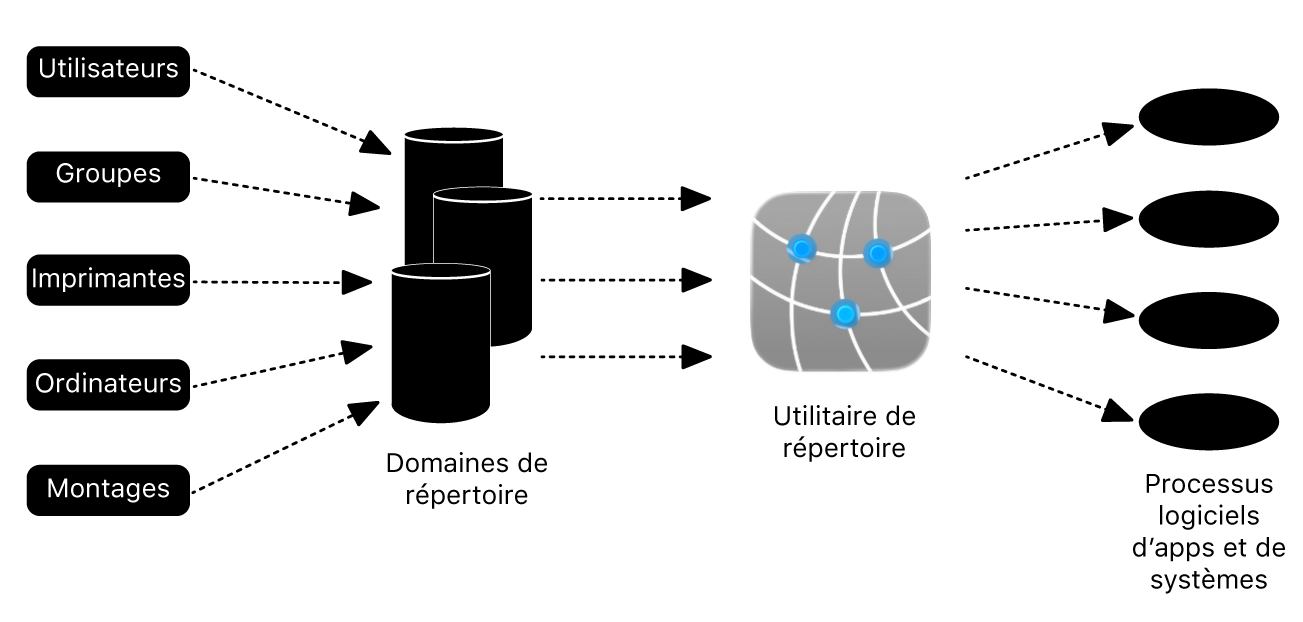 Un diagramme qui illustre comment un Mac s’intègre dans Active Directory.