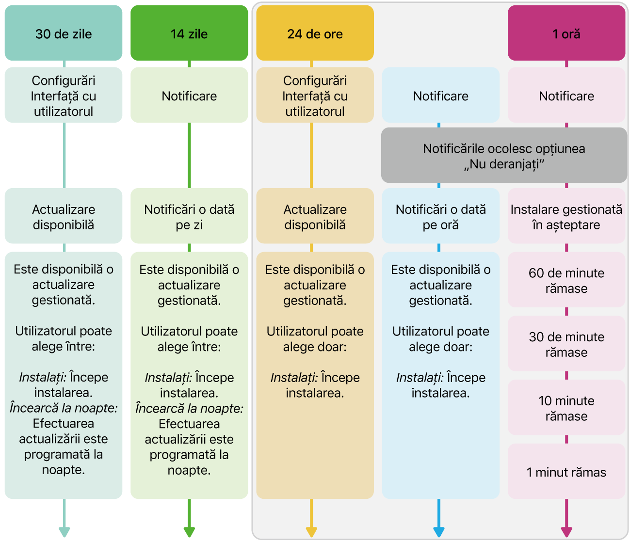 Informații privind disponibilitatea actualizării software.