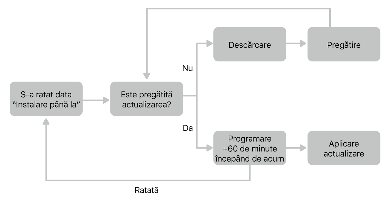 Diagramă flux actualizare software.
