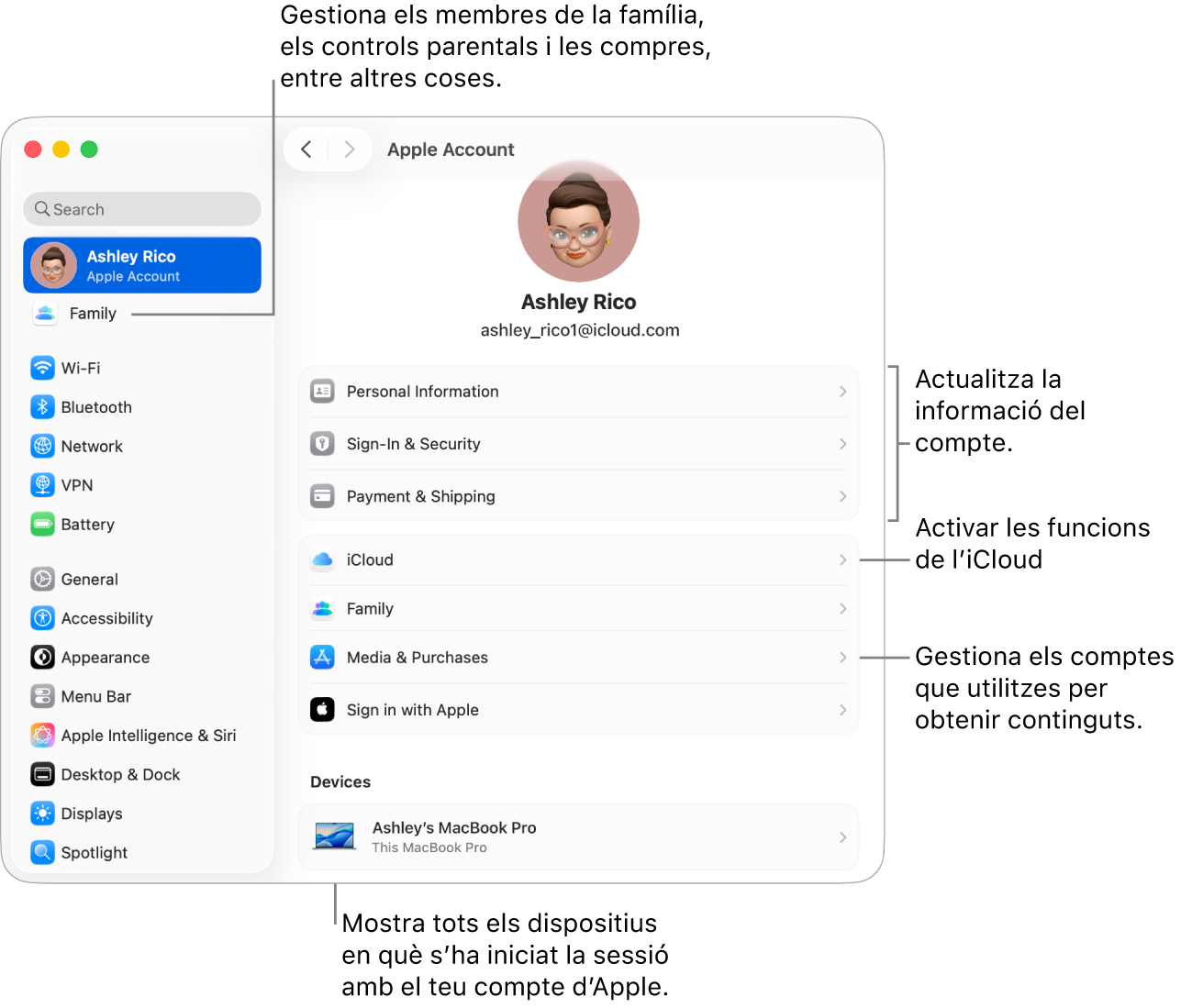 A la configuració del sistema, es veu la secció del compte d’Apple, amb opcions per actualitzar la informació del compte, activar o desactivar les funcions de l’iCloud, gestionar els comptes de contingut multimèdia i ajustar la configuració d’“En família”, amb opcions per configurar un grup familiar, establir controls parentals i administrar les compres, entre altres coses.