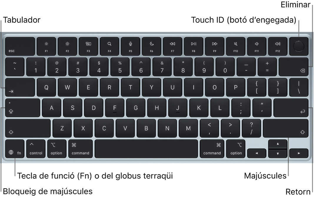 Teclat d’un MacBook Air amb el botó del Touch ID a la part superior dreta, la tecla de funció a l’angle inferior esquerre i les tecles de tabulació, bloqueig de majúscules, majúscules, eliminar i retorn.