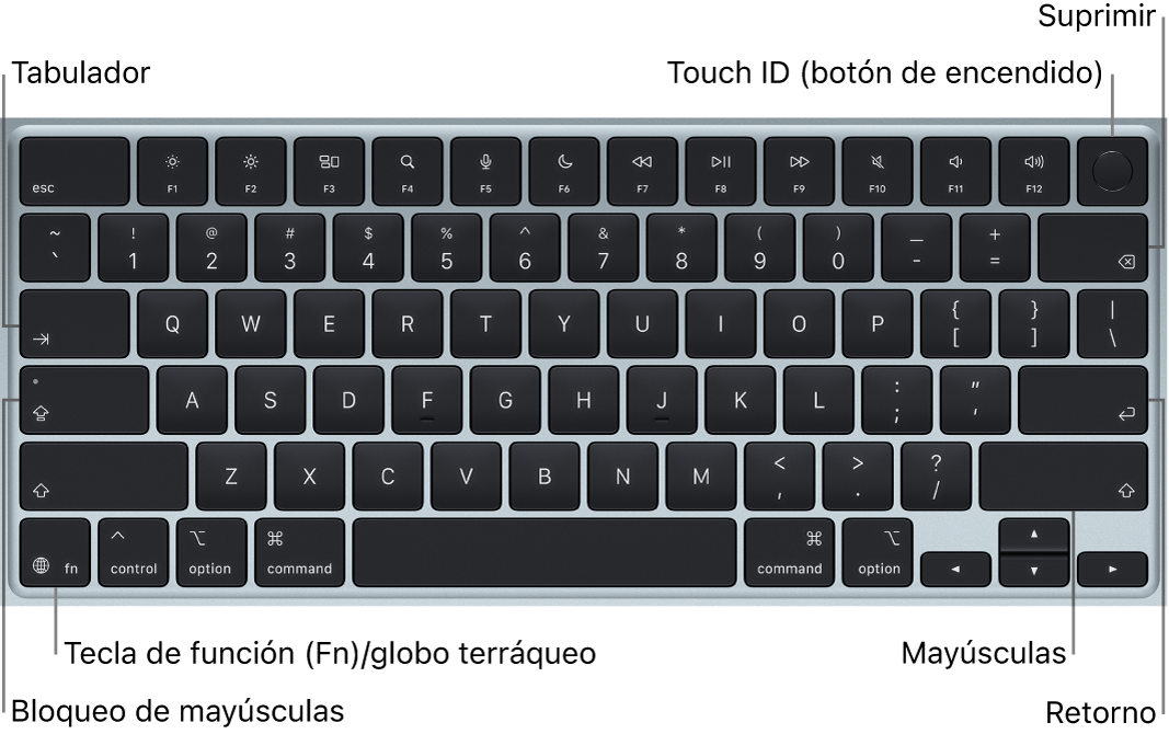 Teclado del MacBook Air, con el botón Touch ID en la parte superior derecha, la tecla de función en la esquina inferior izquierda y las teclas Tabulador, Bloq Mayús, Mayúsculas, Suprimir y Retorno.