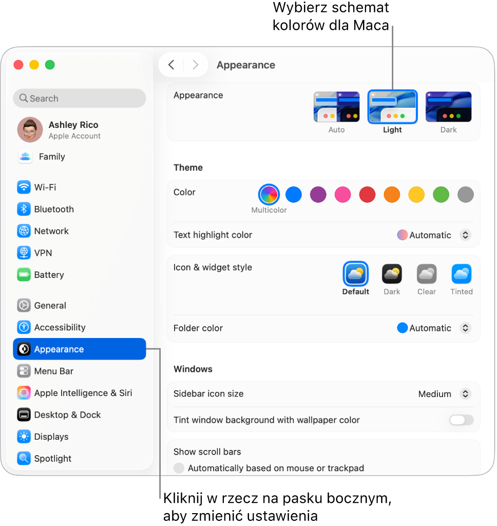 Okno Ustawień systemowych.